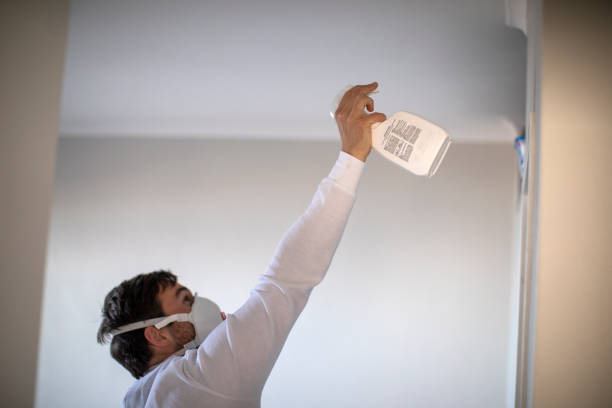 Home Mold Removal in Citrus City, TX